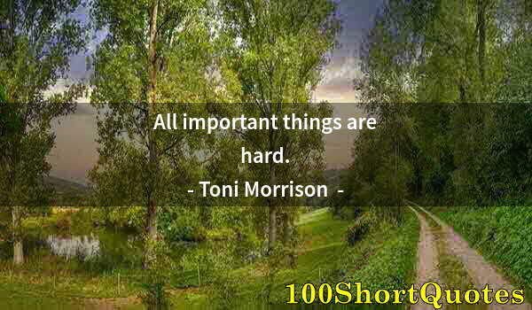 Quote by Albert Einstein: All important things are hard.