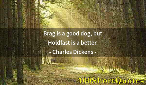 Quote by Albert Einstein: Brag is a good dog, but Holdfast is a better.