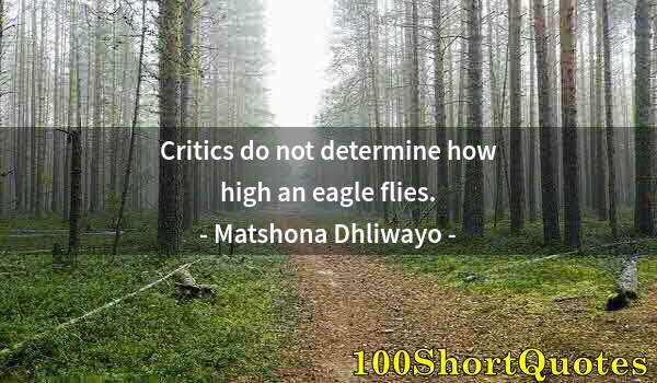 Quote by Albert Einstein: Critics do not determine how high an eagle flies.