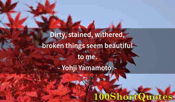 Quote by Albert Einstein: Dirty, stained, withered, broken things seem beautiful to me.