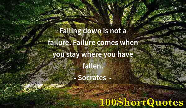 Quote by Albert Einstein: Falling down is not a failure. Failure comes when you stay where you have fallen.
