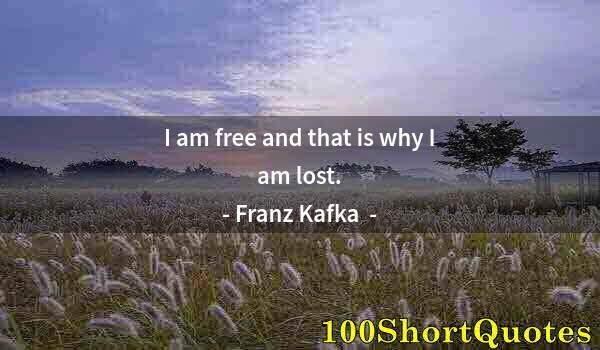 Quote by Albert Einstein: I am free and that is why I am lost.