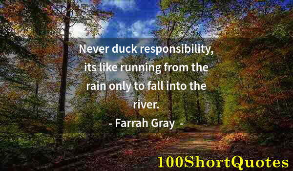 Quote by Albert Einstein: Never duck responsibility, its like running from the rain only to fall into the river.