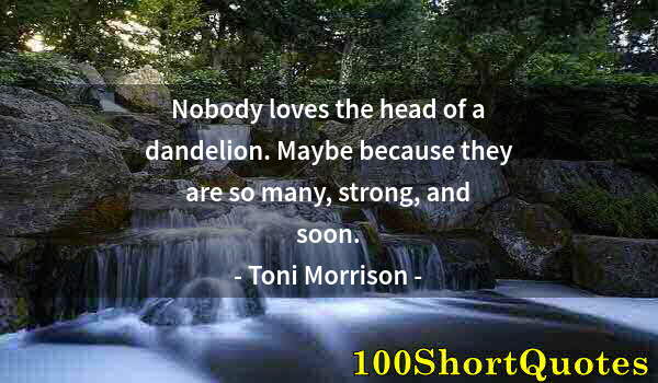 Quote by Albert Einstein: Nobody loves the head of a dandelion. Maybe because they are so many, strong, and soon.