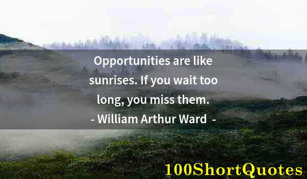 Quote by Albert Einstein: Opportunities are like sunrises. If you wait too long, you miss them.