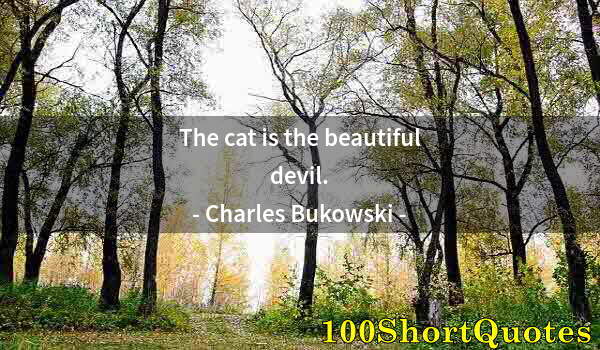 Quote by Albert Einstein: The cat is the beautiful devil.