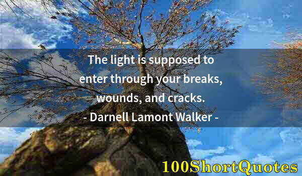 Quote by Albert Einstein: The light is supposed to enter through your breaks, wounds, and cracks.