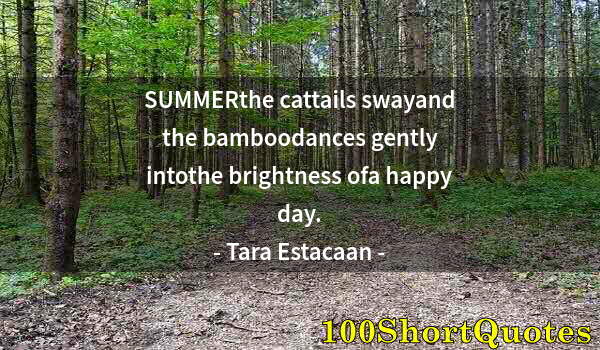 Quote by Albert Einstein: SUMMERthe cattails swayand the bamboodances gently intothe brightness ofa happy day.