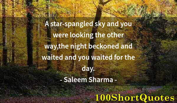 Quote by Albert Einstein: A star-spangled sky and you were looking the other way,the night beckoned and waited and you waited ...
