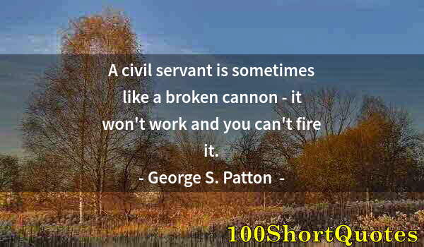 Quote by Albert Einstein: A civil servant is sometimes like a broken cannon - it won't work and you can't fire it.