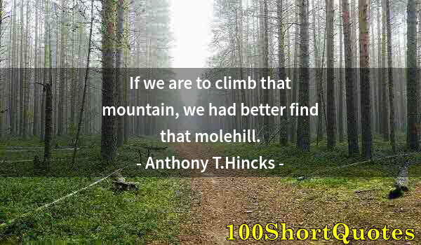Quote by Albert Einstein: If we are to climb that mountain, we had better find that molehill.