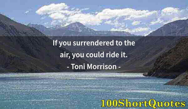 Quote by Albert Einstein: If you surrendered to the air, you could ride it.