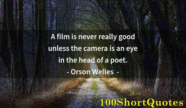 Quote by Albert Einstein: A film is never really good unless the camera is an eye in the head of a poet.