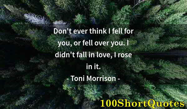 Quote by Albert Einstein: Don't ever think I fell for you, or fell over you. I didn't fall in love, I rose in it.
