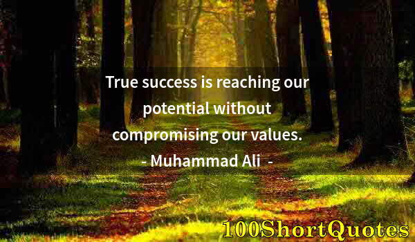 Quote by Albert Einstein: True success is reaching our potential without compromising our values.