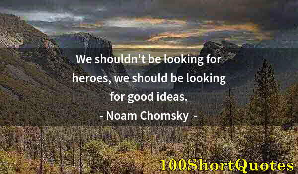 Quote by Albert Einstein: We shouldn't be looking for heroes, we should be looking for good ideas.