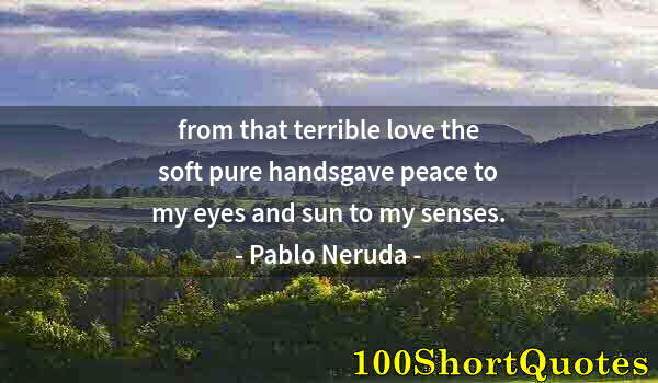 Quote by Albert Einstein: from that terrible love the soft pure handsgave peace to my eyes and sun to my senses.