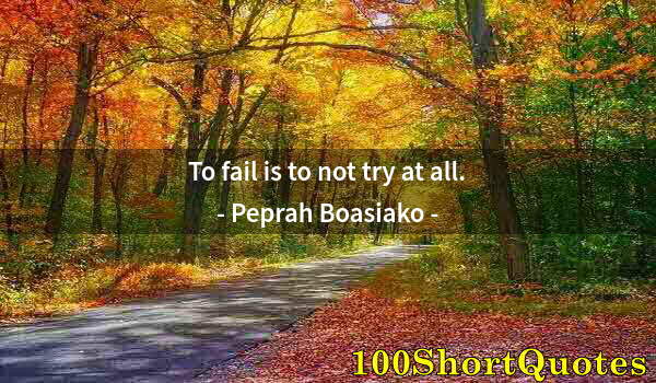 Quote by Albert Einstein: To fail is to not try at all.