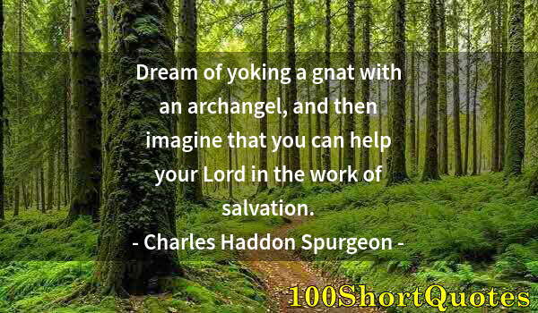 Quote by Albert Einstein: Dream of yoking a gnat with an archangel, and then imagine that you can help your Lord in the work o...