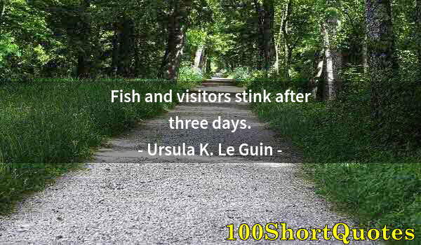 Quote by Albert Einstein: Fish and visitors stink after three days.