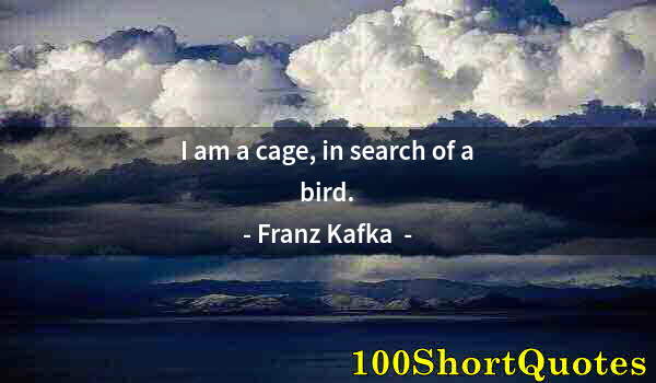 Quote by Albert Einstein: I am a cage, in search of a bird.