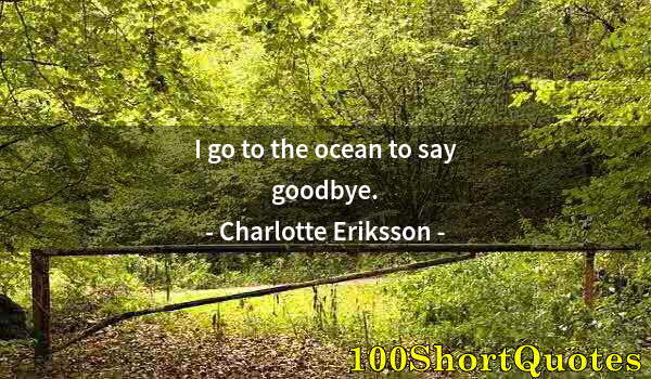 Quote by Albert Einstein: I go to the ocean to say goodbye.