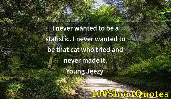 Quote by Albert Einstein: I never wanted to be a statistic. I never wanted to be that cat who tried and never made it.
