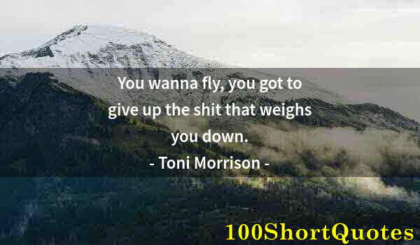Quote by Albert Einstein: You wanna fly, you got to give up the shit that weighs you down.
