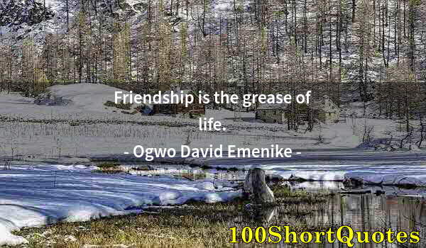 Quote by Albert Einstein: Friendship is the grease of life.