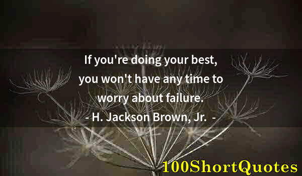 Quote by Albert Einstein: If you're doing your best, you won't have any time to worry about failure.