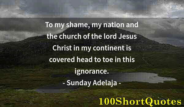 Quote by Albert Einstein: To my shame, my nation and the church of the lord Jesus Christ in my continent is covered head to to...