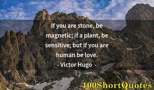 Quote by Albert Einstein: If you are stone, be magnetic; if a plant, be sensitive; but if you are human be love.