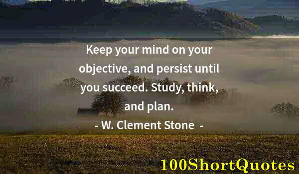 Quote by Albert Einstein: Keep your mind on your objective, and persist until you succeed. Study, think, and plan.