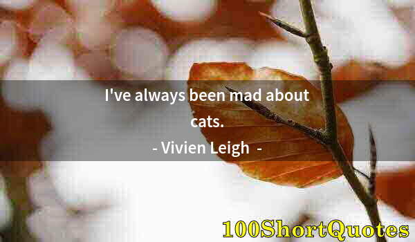 Quote by Albert Einstein: I've always been mad about cats.
