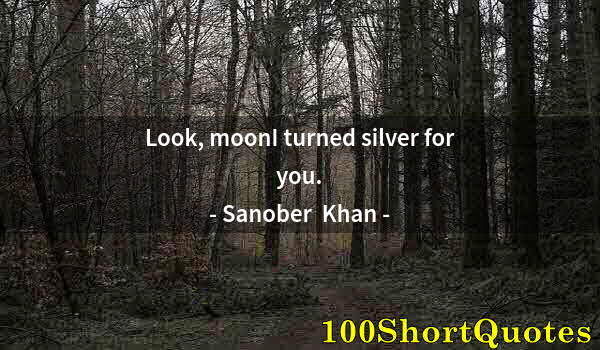 Quote by Albert Einstein: Look, moonI turned silver for you.
