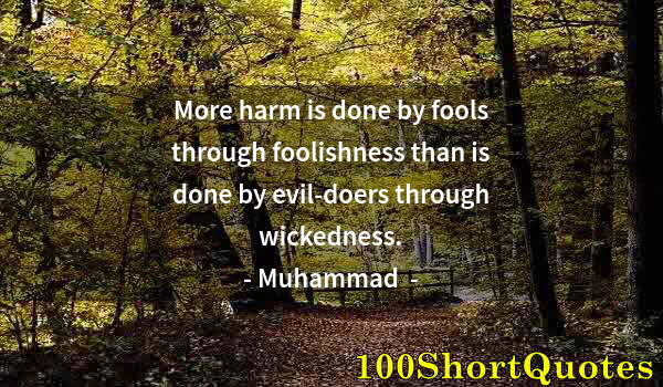 Quote by Albert Einstein: More harm is done by fools through foolishness than is done by evil-doers through wickedness.