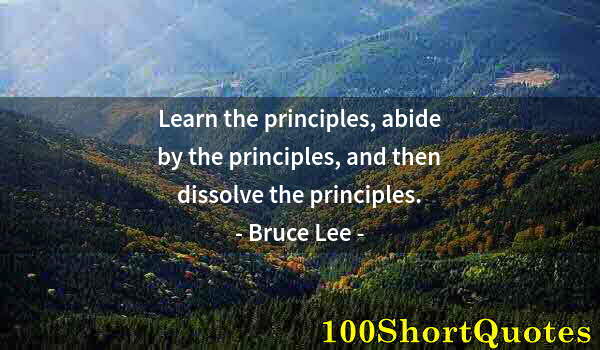 Quote by Albert Einstein: Learn the principles, abide by the principles, and then dissolve the principles.