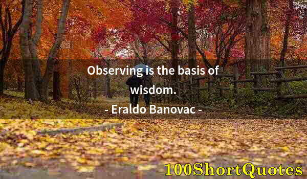 Quote by Albert Einstein: Observing is the basis of wisdom.