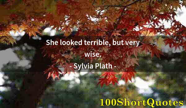 Quote by Albert Einstein: She looked terrible, but very wise.