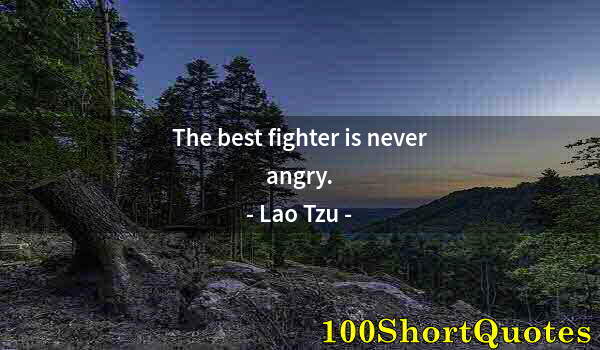 Quote by Albert Einstein: The best fighter is never angry.