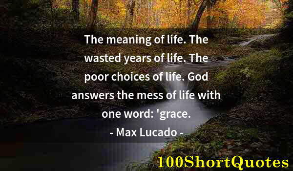 Quote by Albert Einstein: The meaning of life. The wasted years of life. The poor choices of life. God answers the mess of lif...