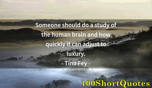Quote by Albert Einstein: Someone should do a study of the human brain and how quickly it can adjust to luxury.