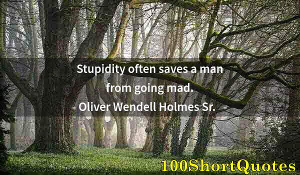 Quote by Albert Einstein: Stupidity often saves a man from going mad.
