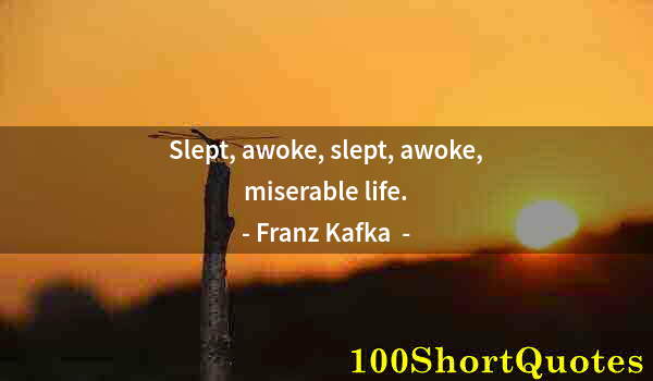 Quote by Albert Einstein: Slept, awoke, slept, awoke, miserable life.