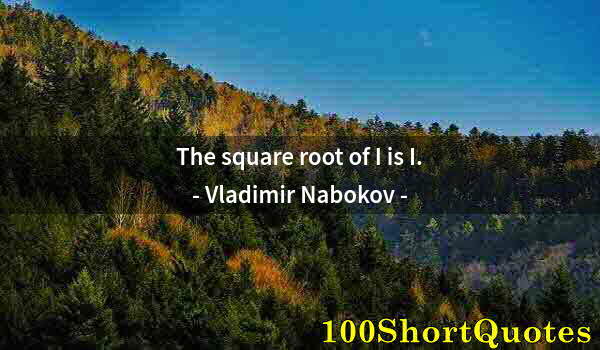 Quote by Albert Einstein: The square root of I is I.