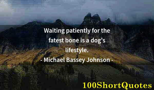 Quote by Albert Einstein: Waiting patiently for the fatest bone is a dog's lifestyle.