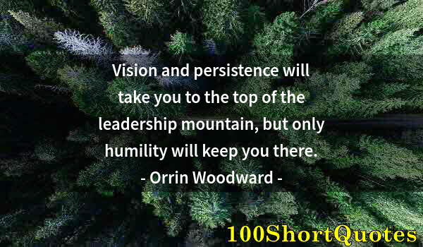 Quote by Albert Einstein: Vision and persistence will take you to the top of the leadership mountain, but only humility will k...