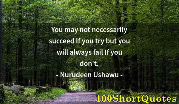 Quote by Albert Einstein: You may not necessarily succeed If you try but you will always fail If you don't.