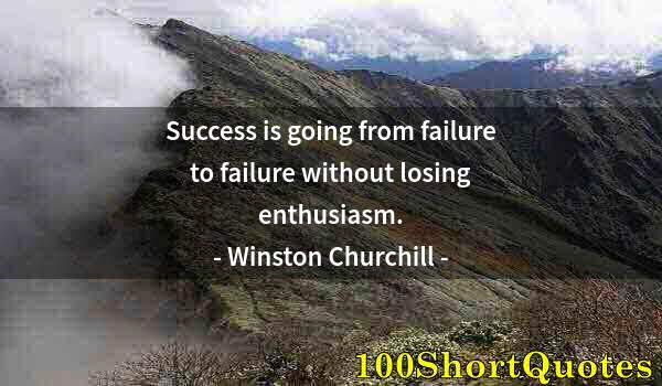 Quote by Albert Einstein: Success is going from failure to failure without losing enthusiasm.