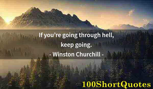 Quote by Albert Einstein: If you’re going through hell, keep going.